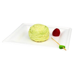100% Biodegradable Eco-friendly Sugarcane Bagasse Square Plate 10 Inch - ninobamboo