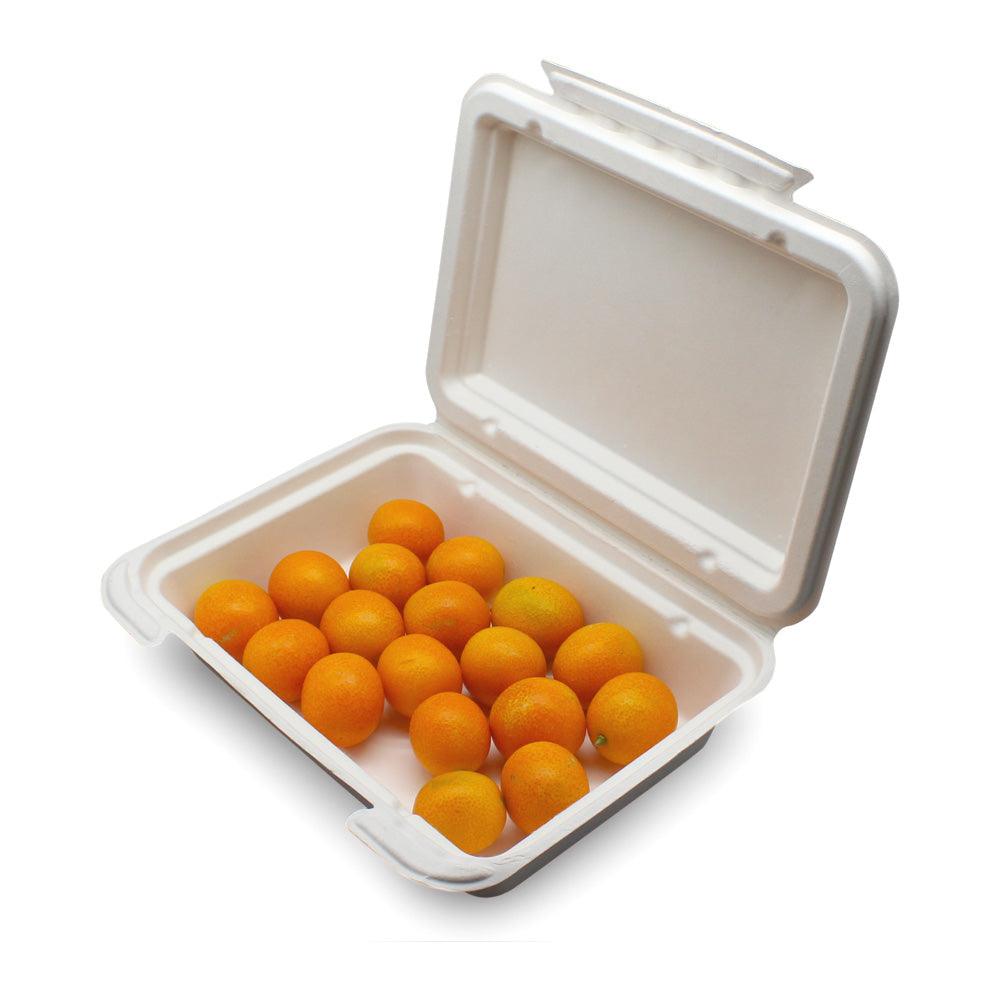 https://ninobamboo.com/cdn/shop/products/9x6inch-disposable-sugarcane-bagasse-lunch-box-ninobamboo-1.jpg?v=1701935371