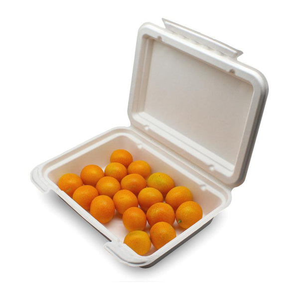 9x6inch Disposable Sugarcane Bagasse Lunch Box - ninobamboo