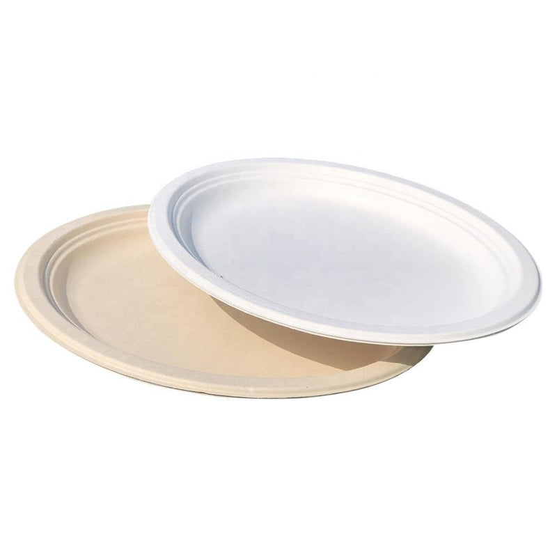 Eco-friendly Sugarcane Bagasse Oval Plate 12inch